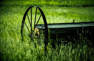 wagon in field