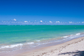 Bright scenic view of holiday paradise: northeast beach of Brazil, Alagoas state.
