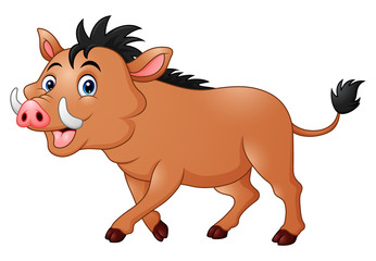 Wild boar cartoon
