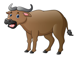 Cute buffalo cartoon