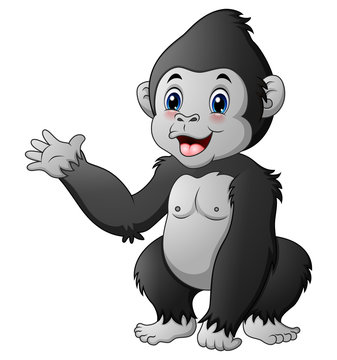 Cute baby gorilla Stock Vector | Adobe Stock