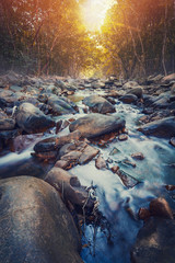The waterfall is located in Tarutao National Park in Thailand.