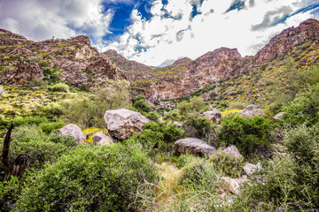 Fototapeta na wymiar Arizona White Tank Mountains