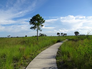 hiking trail in the Everglades