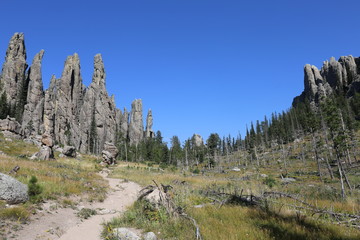 Custer State Park
