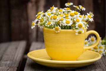 Foto op Aluminium Yellow cup filled with chamomile flowers on wooden plank table. © Mary Lynn Strand