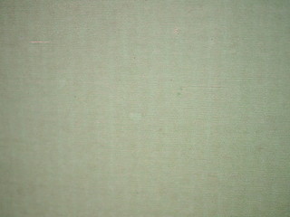 Light pale green vertical pattern cardboard background