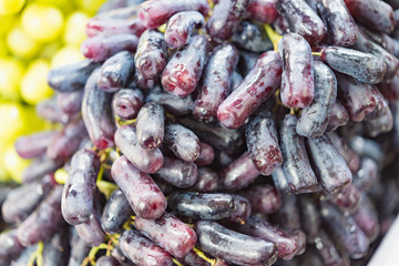 Extra jumbo size of black seedless Moon Drops grape or Witch Fingers grape for sale at the fruit market, Selective focus on black seedless Moon Drop grapes