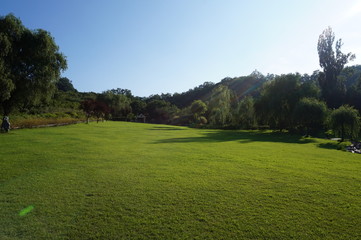 Field