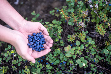 Handful of blueberries