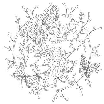 Coloring book for adult and older children. Coloring page with decorative vintage flowers and decorative butterflies. Outline hand drawn