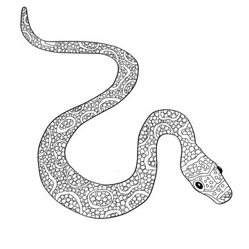 Hand drawn vector doodle outline snake decorated with ornaments.Ready for adult anti stress coloring book