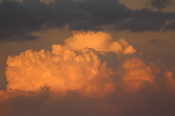 The Orange Sky