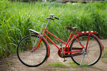 Fototapeta premium Vintage bicycle nature background