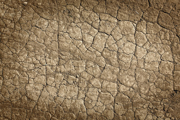 Fototapeta premium Cracked land