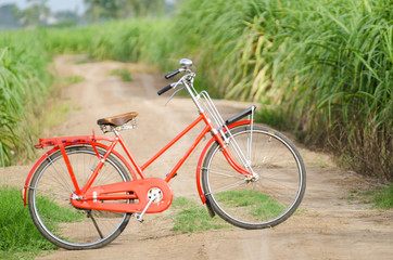 Fototapeta na wymiar Vintage bicycle nature background