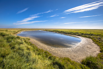 Saltmarsh landscape Rottumeroog