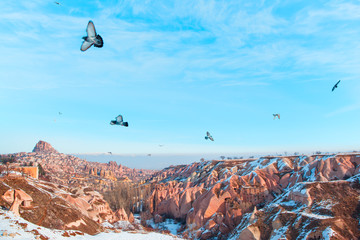 Pigeon valley, Cappadocia