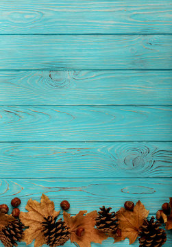 Flat lay frame of autumn leaves, cones and nuts on a wooden background of azure color.