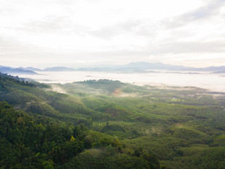 The beautiful landscape with fog at khao khai nui