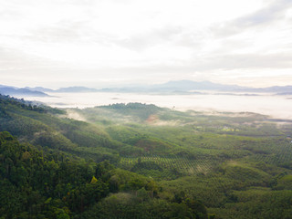 Fototapeta premium The beautiful landscape with fog at khao khai nui