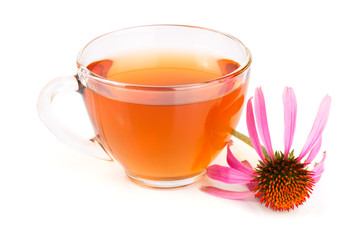 Echinacea tea isolated on white background. Medicinal tea