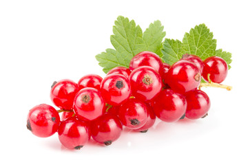 Red currant berries with leaf isolated on white background