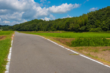 圃場整備・水田