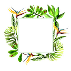 Fototapeta na wymiar Tropical Hawaii leaves palm tree frame in a watercolor style. Aquarelle wild flower for background, texture, wrapper pattern, frame or border.