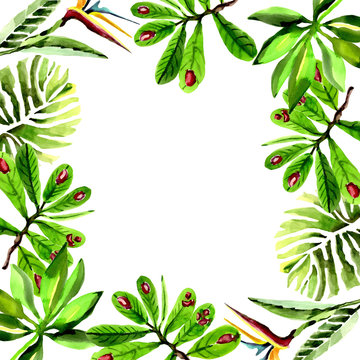 Tropical Hawaii leaves palm tree frame in a watercolor style. Aquarelle wild flower for background, texture, wrapper pattern, frame or border.