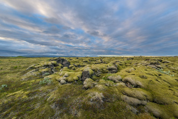 Moss-covered lava fields in south Iceland.
