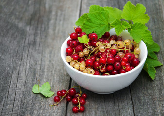 Bowl with red currant