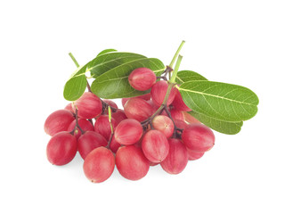 Carissa carandas Linn,Karanda, Carunda isolated