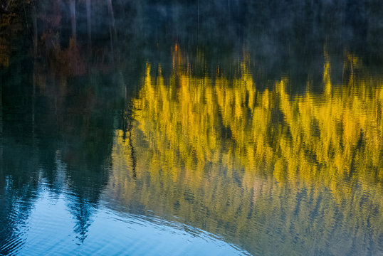 lake surface reflecting spruce forest at sunrise