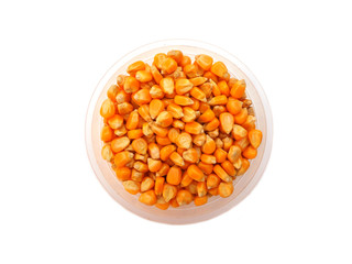 Corn seeds on white background
