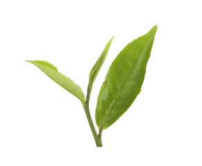 green tea leaf isolated on white background