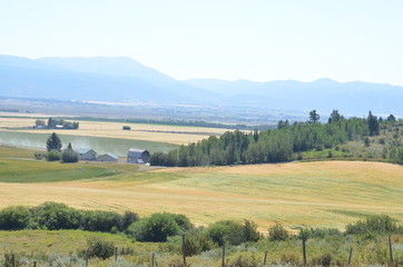Fototapeta na wymiar Farmland and house in Teton Valley, Idaho