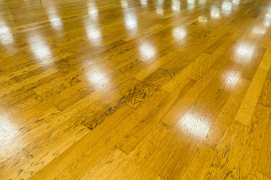 体育館の床　Gymnasium floor