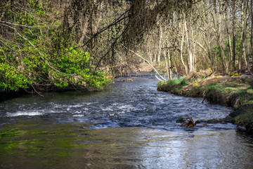 Naklejka na ściany i meble A side stream of River Don in Seaton park, Aberdeen