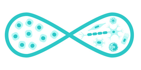 Regenerative medicine concept