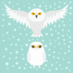 White Snowy owl. Sitting flying bird with wings. Snow barn. Yellow eyes. Arctic Polar animal collection. Baby education. Flat design. Isolated. Blue winter background with snowflake.