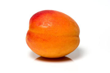 Apricot