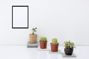 Scandinavian Hipster interior design with succulents and cactus in plastic planter and Mock up paper on white wall.