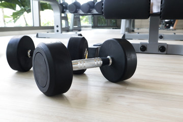 Dumbbells for weight lifting in fitness room