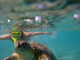 Snorkeling with a large sea turtle