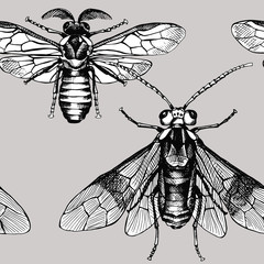 Seamless pattern with image of bee and wasp on a gray background. Vector black and white illustration.