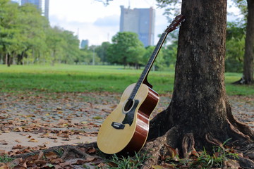 Acoustic guitar leaning against tree in the park.