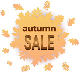 auttumn sale banner