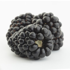 Blackberry fruit on white