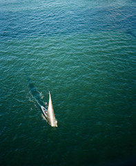 Obraz premium Sailing Boat in the Sea